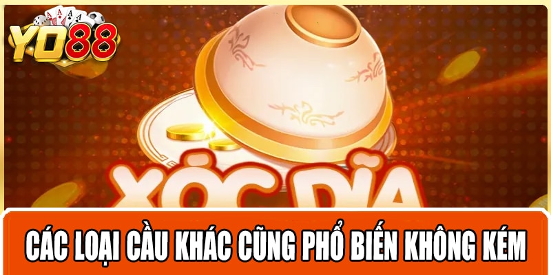 Các loại cầu khác cũng phổ biến không kém nhưng hay bị nhầm