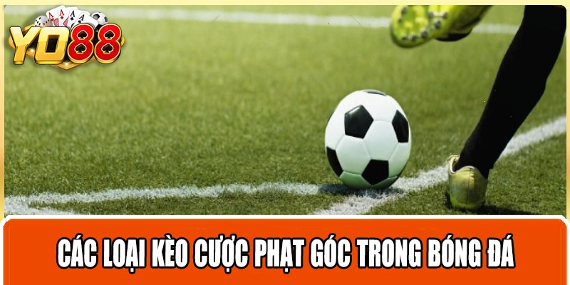 Các loại kèo cược phạt góc trong bóng đá