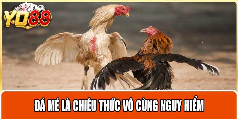 Đá mé là chiêu thức vô cùng nguy hiểm