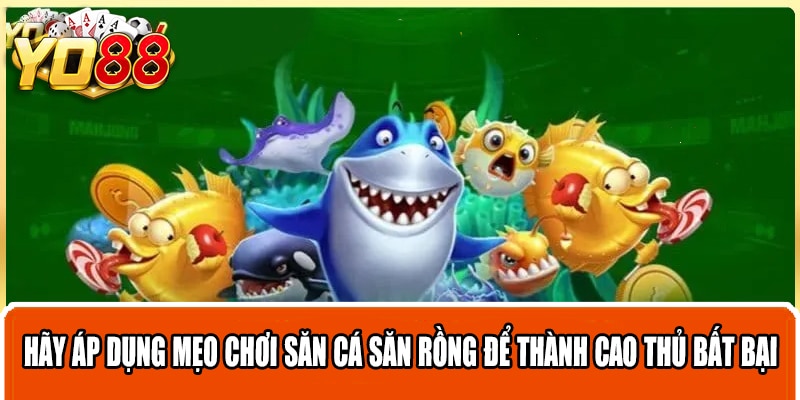 Hãy áp dụng mẹo chơi săn cá săn rồng để thành cao thủ bất bại