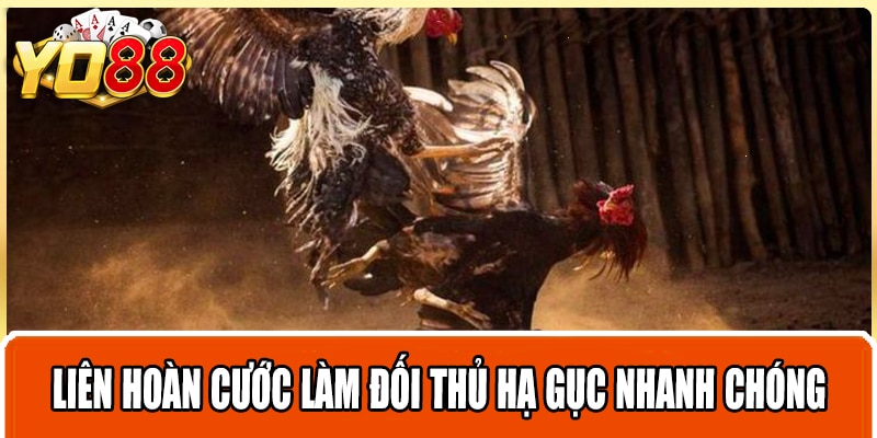 Liên hoàn cước làm đối thủ hạ gục nhanh chóng