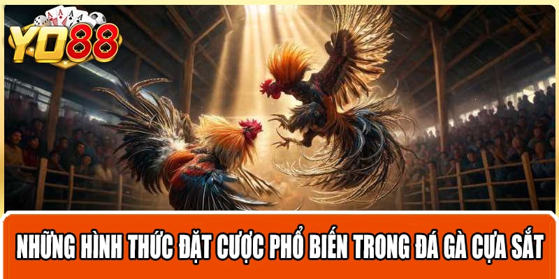 Những hình thức đặt cược phổ biến trong đá gà cựa sắt