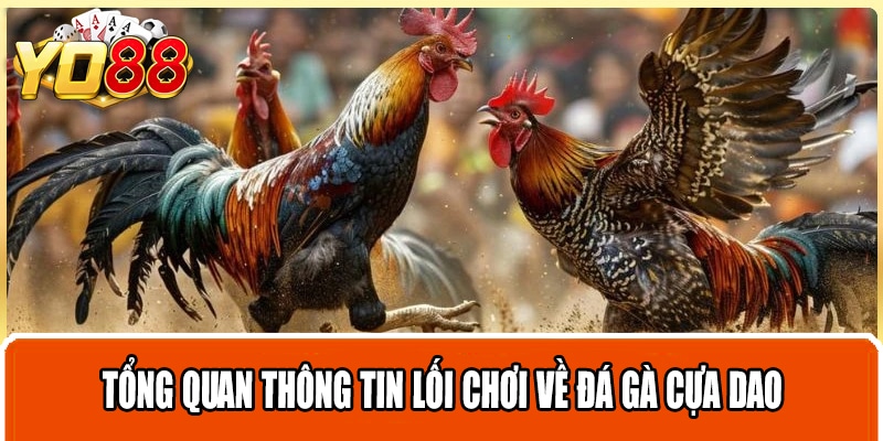 Tổng quan thông tin lối chơi về đá gà cựa dao